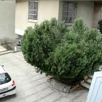 دوربین مداربسته دید در شب رنگی سونی|دوربین مداربسته|تهران, ستارخان|دیوار