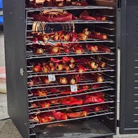 دستگاه خشک کن میوه خانگی و صنعتی