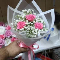 روز  دختر مبارک|گل و گیاه طبیعی|رشت, خواهر امام|دیوار