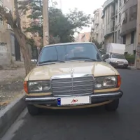 بنز دانشجویی ۱۹۸۱