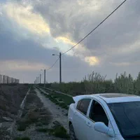 زمین هکتاری کرج کشاورزی گلخانه پنج هکتار|فروش دفتر صنعتی، کشاورزی، تجاری|چهارباغ, |دیوار