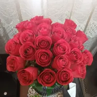 گل رز قرمز