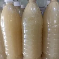 رب گوجه فرنگی سنتی|خوردنی و آشامیدنی|قم, یزدان‌شهر|دیوار