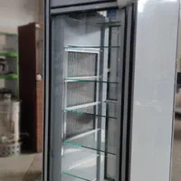 یخچال فریزر صندوقی و ایستاده فروشگاهی|فروشگاه و مغازه|شیراز, گویم|دیوار