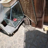 اکفاریوم باشیشه زخیم ...|ماهی|اصفهان, شیخ طوسی|دیوار