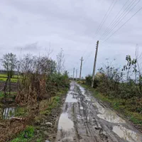 زمین۸۰۰۰متر مناسب برای کاشت کیوی تالش چلونصر|فروش زمین و ملک کلنگی|تالش, هشتپر|دیوار