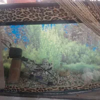 فروش اکواریم سالم