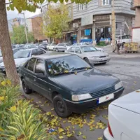 پژو آر دی (RD) دوگانه سوز LPG، مدل۱۳۸۴