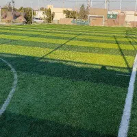 فروش چمن مصنوعی|خدمات باغبانی و درختکاری|دوگنبدان, |دیوار