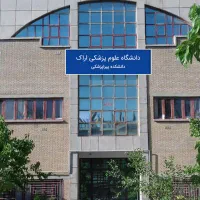 پروژه دانشجویی پاور خلاصه نویسی پایان نامه رساله|خدمات آموزشی|اراک, |دیوار