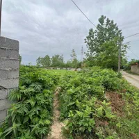 ۵۴۰مترزمین باکاربری مسکونی درجاده رشت ب فومن|فروش زمین و ملک کلنگی|رشت, معلم|دیوار