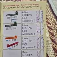 بچه گربه پرشین|گربه|کرج, مصباح|دیوار