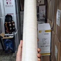 ۲۰۰۰ رول کاغذ دیواری خارجی رنگ روشن|مصالح و تجهیزات ساختمان|تهران, تهرانپارس شرقی|دیوار