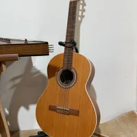 گیتار والنسیا حرفه ای