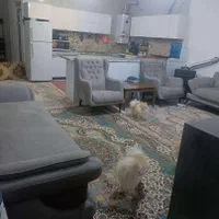 ویلایی یک طبقه دربست کوچه ۱۹ سیدالشهدا کرونی|فروش خانه و ویلا|شیراز, میانرود|دیوار
