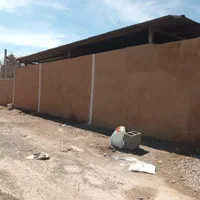 تولید و فروش کاهگل صنعتی نوین (کاه گل،کاگل مصنوعی)|خدمات پیشه و مهارت|اصفهان, باغ زیار|دیوار