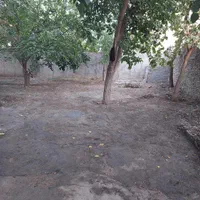 اجاره روزانه سوئیت دربست حیاط دار آتشگاه|اجارهٔ کوتاه‌مدت آپارتمان و سوئیت|کرج, باغستان|دیوار