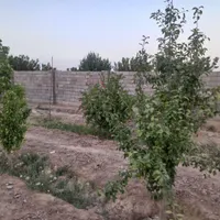 فروش باغ مناسب|فروش خانه و ویلا|اصفهان, احمدآباد|دیوار