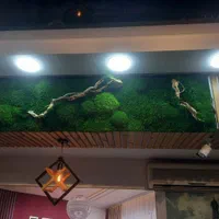 چمن  مصنوعی خزه تثبیت شده چمن فوتبالی فنس گرین وال