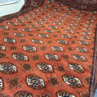 فرش ۱۲ متری دستباف ترکمن تمام پشم رنگ مسی|فرش|کرج, برغان|دیوار