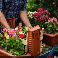 فروش گل گیاه خدمات طراحی فضای سبز باغبانی|خدمات باغبانی و درختکاری|تهران, شهرک غرب|دیوار