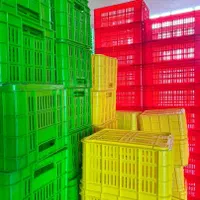 سبد پلاستیکی/سبدپلاستیکی|عمده‌فروشی|کرج, ساسانی (قلمستان)|دیوار