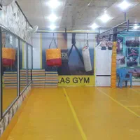 باشگاه رزمی اطلس