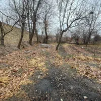 باغ محصور با درختان مثمر و سند تک برگ در دستجرد|فروش زمین و ملک کلنگی|قم, زنبیل آباد|دیوار