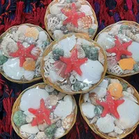سبد صدف دکوری|صنایع دستی و سایر لوازم تزئینی|رشت, گلباغ نماز|دیوار
