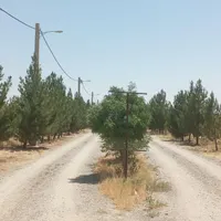 2قطعه باغ2000متریسندتکبرگ،سهیلیه،زعفرانیه،زکی آباد|فروش زمین و ملک کلنگی|کرج, مهرشهر - فاز ۴|دیوار