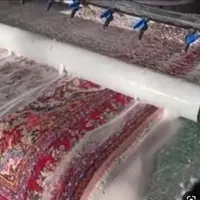 قالیشویی شهرک غرب سعادت آباد علامه دادمان سرو|خدمات نظافت|تهران, شهرک آپادانا|دیوار