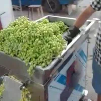 خمیرگیر ضمانت دار*آبگوجه گیرhآبلیموگیر/میکسرقنادی|فروشگاه و مغازه|قم, صفائیه|دیوار