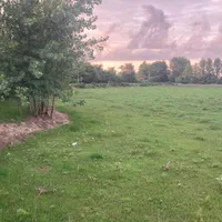 ۹۰۰۰متر زمین باغی/بر آسفالت/ملک ۳ بر/داخل طرح هادی|فروش زمین و ملک کلنگی|رشت, کاکتوس|دیوار
