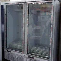 نمایندگی فروش یخچال ایستاده تک درب|فروشگاه و مغازه|خرم‌آباد, |دیوار