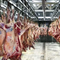 گوشت چرخکرده مخلوط گوساله و گوسفندی کیلو ۲۵۹تومان|خوردنی و آشامیدنی|قم, چهار مردان|دیوار