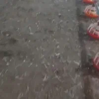 خرم آباد کود مرغی