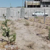 فروش زمین کوشک زر|فروش زمین و ملک کلنگی|هشتگرد, کوشک زر|دیوار