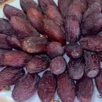 نخل  مجول کشت  بافت اصلاح ژنتیکی|خدمات باغبانی و درختکاری|جم, |دیوار