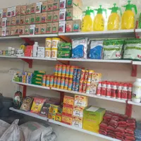سمپاشی سوسک ساس سم پاشی موش کنه کک گال تضمینی
