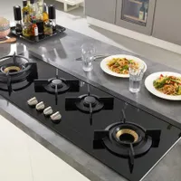 تعمیرات انواع اجاق گاز های صفحه ای