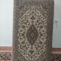 دوعدد پشتی