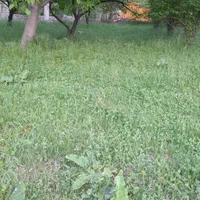 زمین کشاورزی درجواررودخانه روستای سیمیندشت(حصاربن)|فروش زمین و ملک کلنگی|فیروزکوه, |دیوار