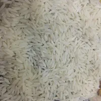 برنج استانه اشرفیه