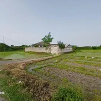 فروش زمین 11300متری سند تک برگی براصلی جاده‌شفت|فروش زمین و ملک کلنگی|رشت, چله خانه|دیوار