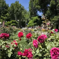 فیلمبرداری عکاسی اتلیه تشریفات عقدعروسی