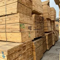 نردبان چوبی تخته بنایی|خدمات پیشه و مهارت|آبادان, |دیوار