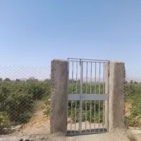 باغ انگور پرثمر|فروش زمین و ملک کلنگی|کرج, شهرک بنفشه|دیوار