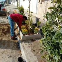 خدمات باغبانی گلکاری هرسکاری سمپاشی صفر تا صدهمجا
