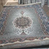 تعداد زیادی فرش قالی ب دلیل نیاز مالی|فرش|داراب, |دیوار