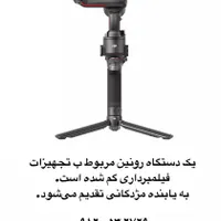رونین گمشده